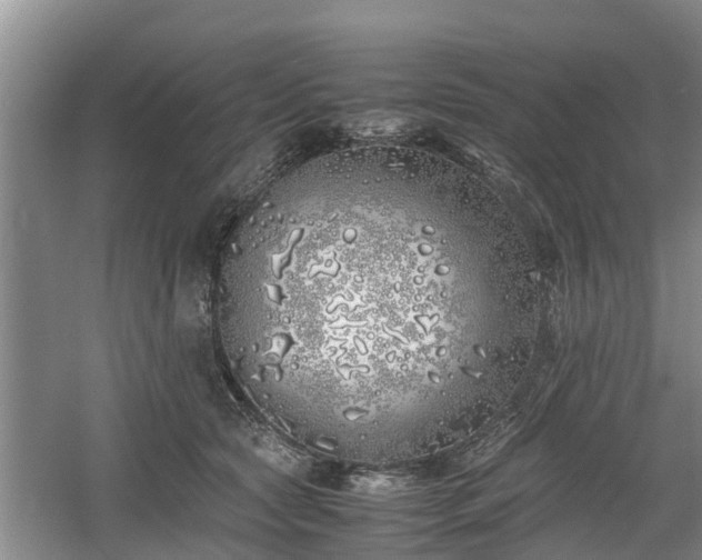 X0000060780561200511141420