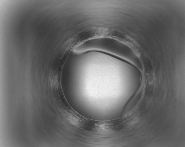 X0000060780564200511141420