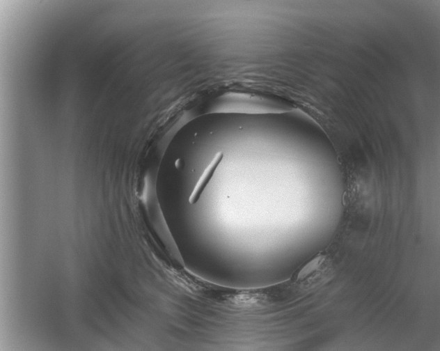 X0000060780566200511141420