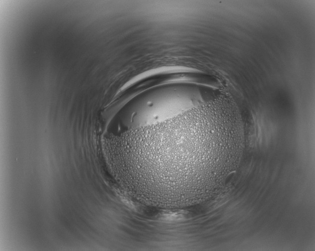 X0000060780569200511141420