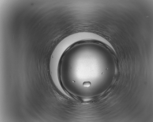 X0000060780570200511141420