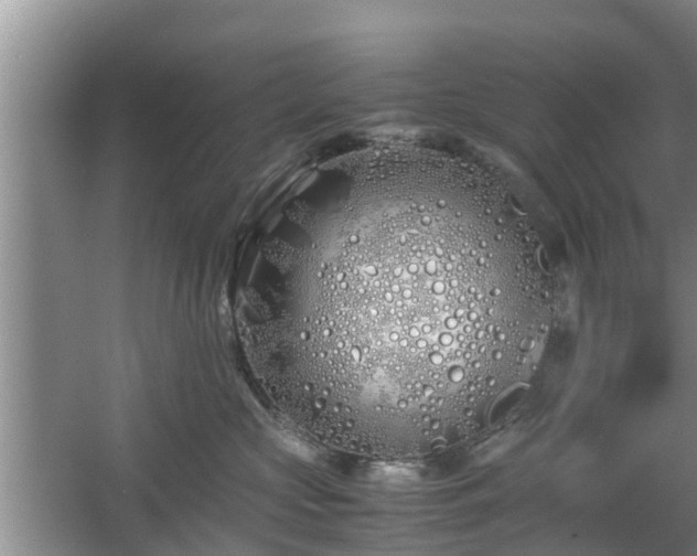 X0000060780573200511141420