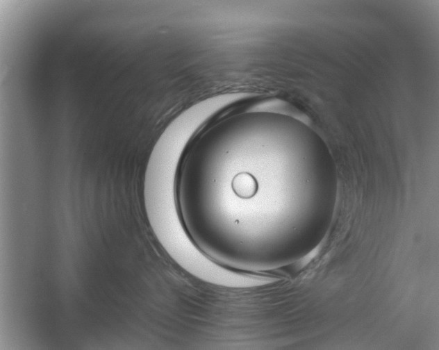 X0000060780576200511141420