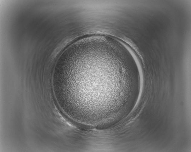 X0000060780577200511141419