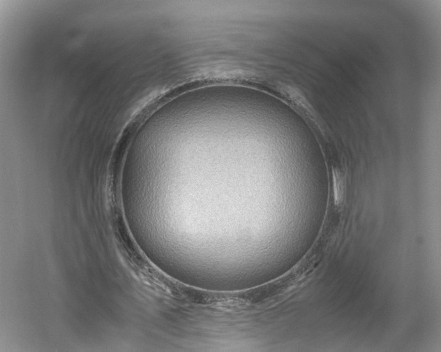 X0000060780579200511141419