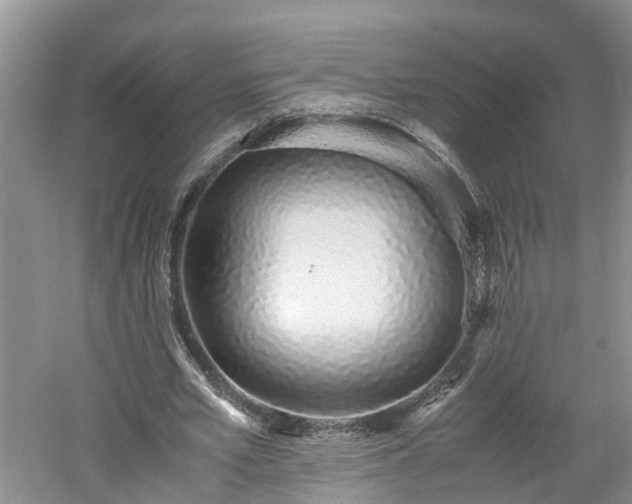 X0000060780581200511141419