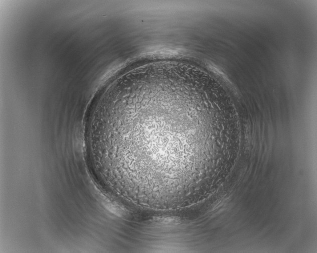 X0000060780582200511141419