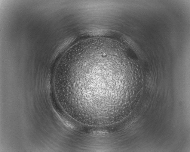 X0000060780586200511141419