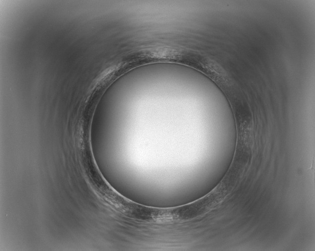 X0000060780587200511141419