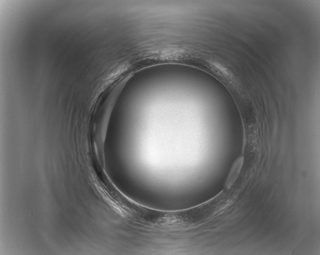 X0000060780589200511141419