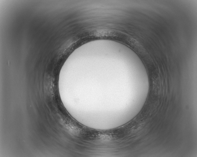 X0000060780592200511141419