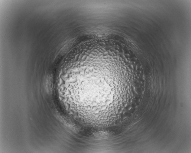 X0000060780594200511141419