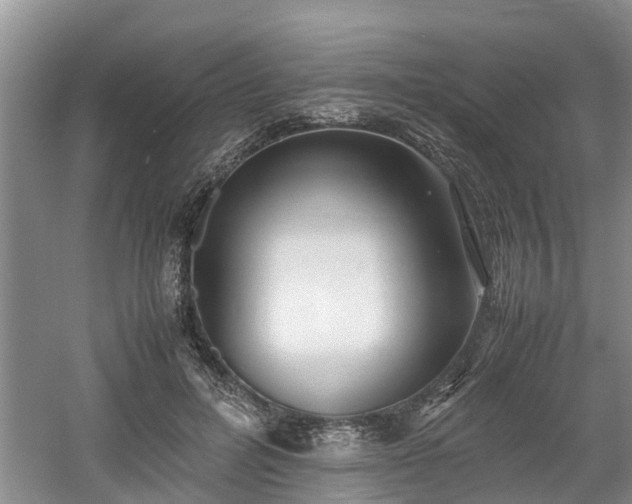 X0000060780600200511141419