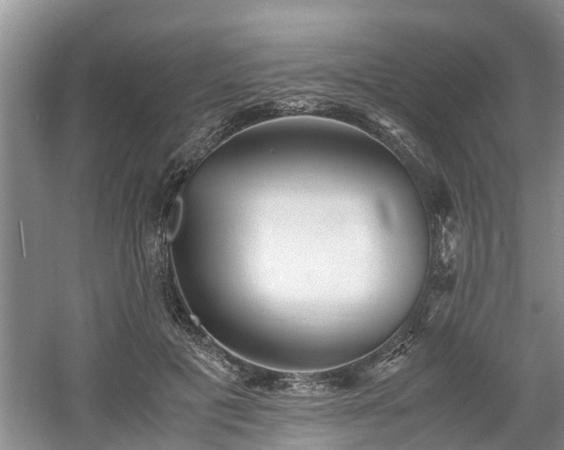 X0000060780601200511141419