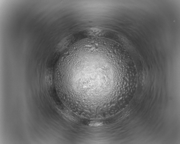 X0000060780602200511141419