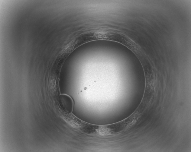 X0000060780603200511141419