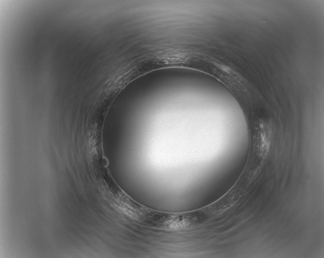 X0000060780604200511141419