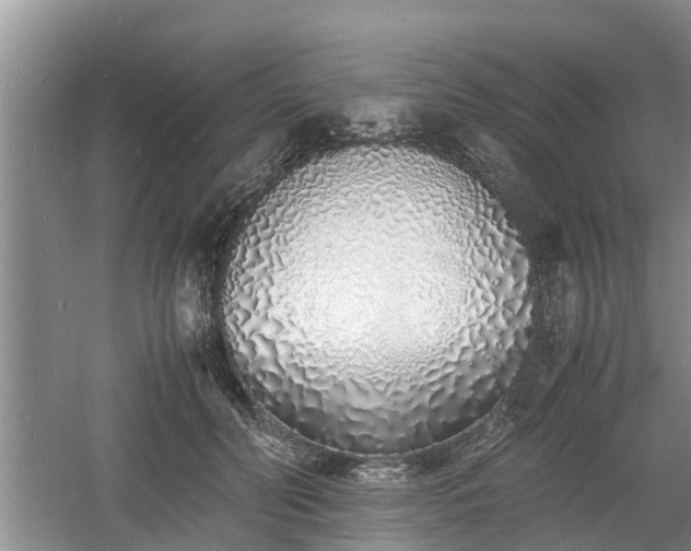 X0000060780606200511141419