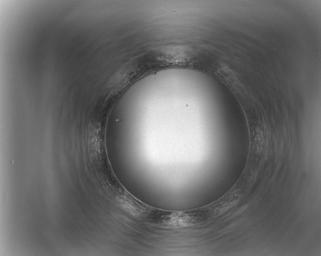 X0000060780612200511141419