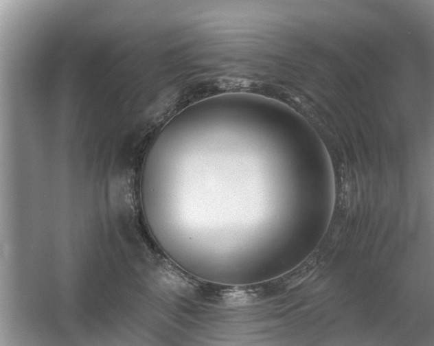 X0000060780616200511141419