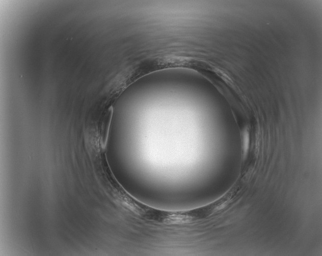 X0000060780617200511141419