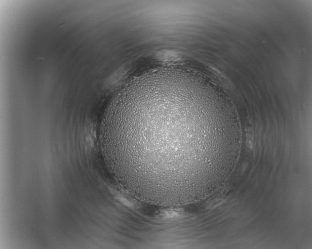 X0000060780618200511141419