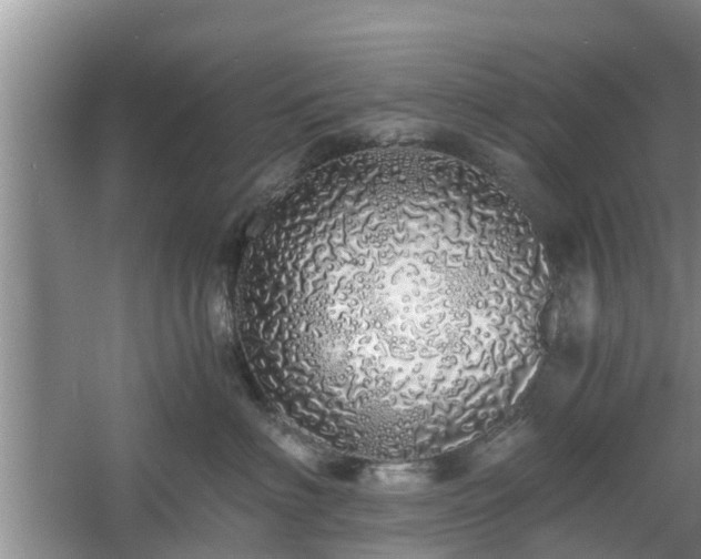 X0000060780622200511141419