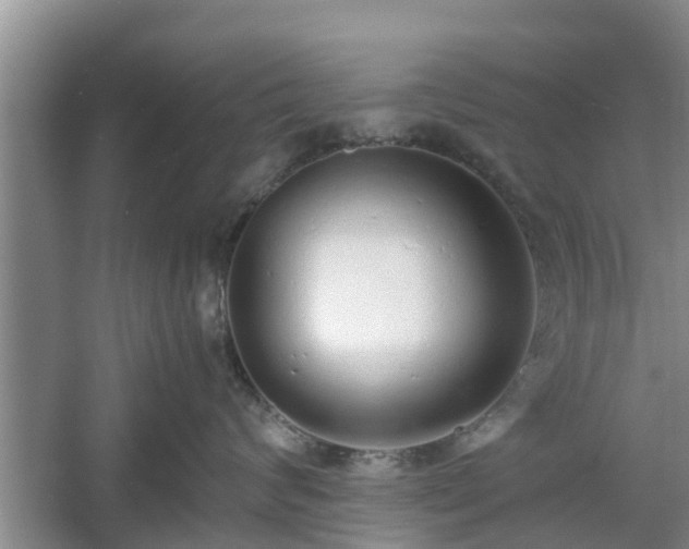 X0000060780624200511141419