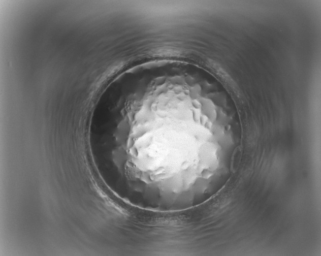 X0000060780625200511141418