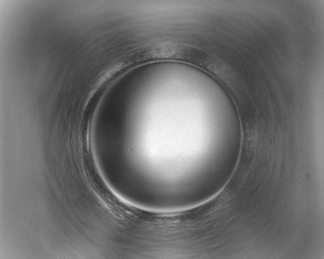 X0000060780626200511141418