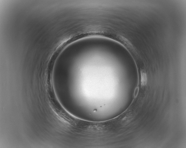 X0000060780627200511141418