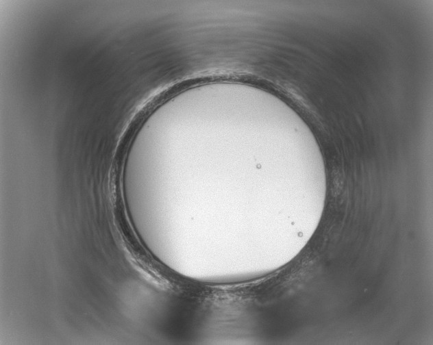 X0000060780632200511141418