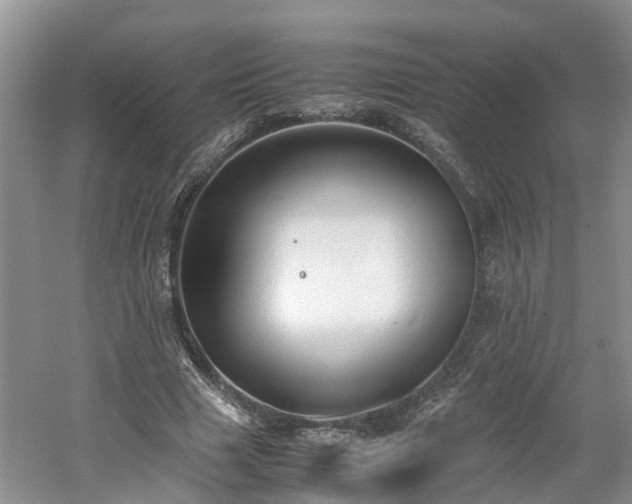 X0000060780633200511141418