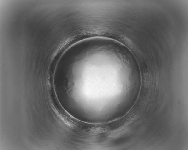 X0000060780634200511141418