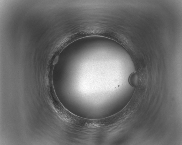 X0000060780635200511141418