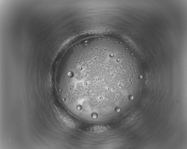 X0000060780636200511141418