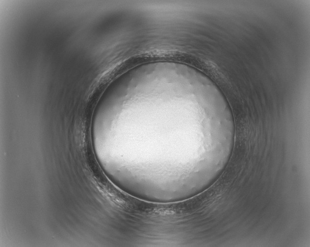 X0000060780640200511141418