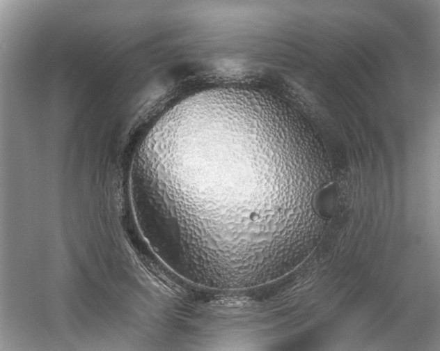 X0000060780642200511141418