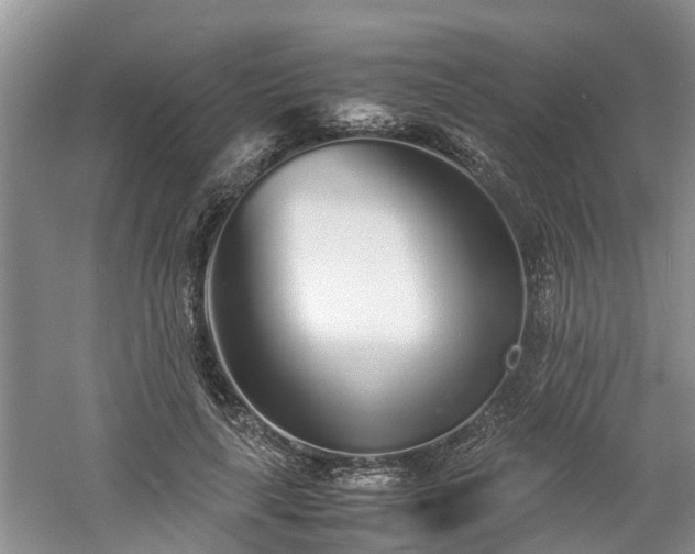 X0000060780643200511141418