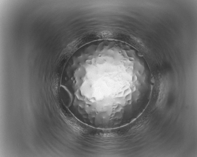 X0000060780645200511141418