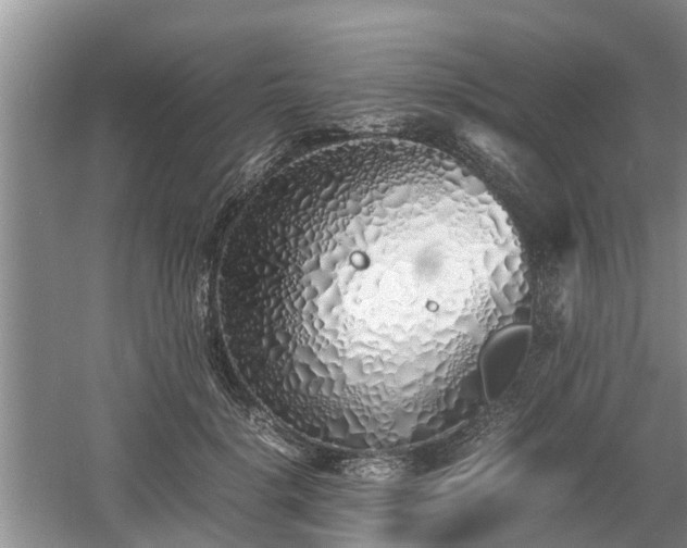 X0000060780652200511141418