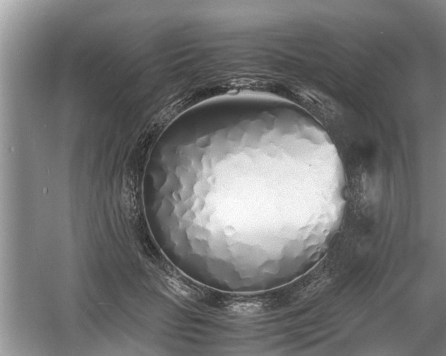 X0000060780653200511141418