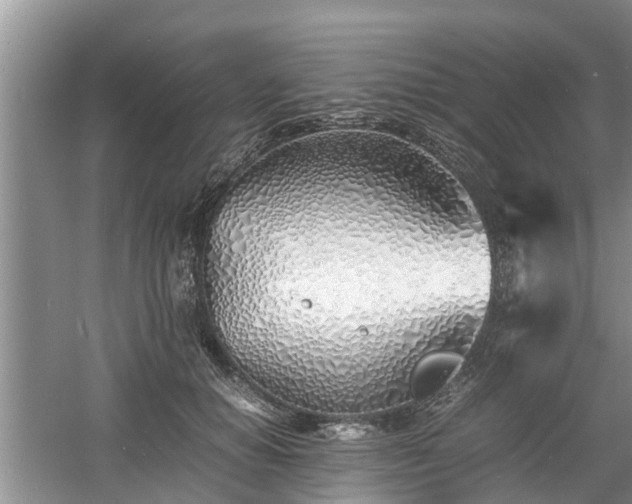 X0000060780654200511141418