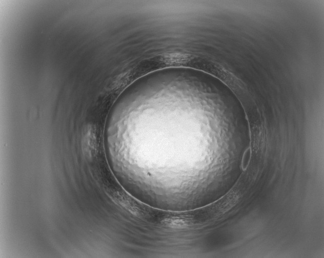 X0000060780655200511141418