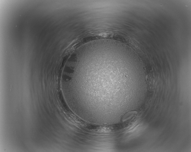 X0000060780656200511141418