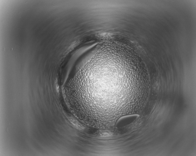 X0000060780658200511141418