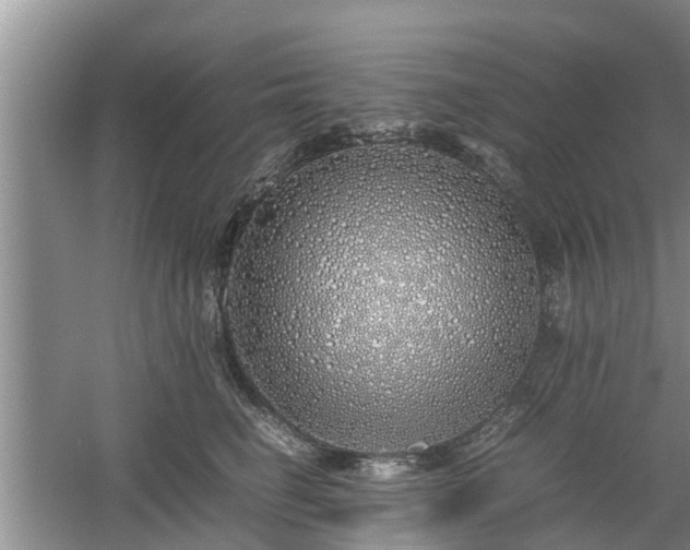 X0000060780662200511141418