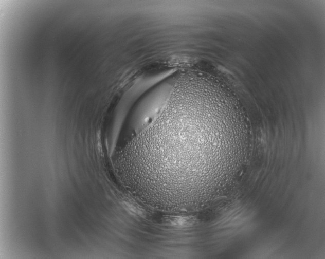 X0000060780663200511141418