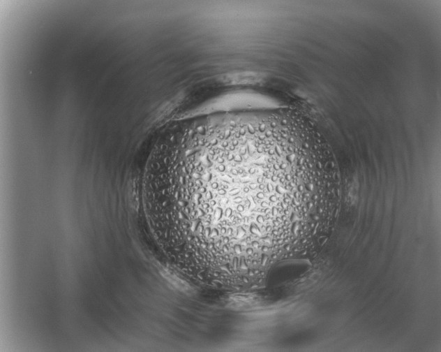 X0000060780666200511141418