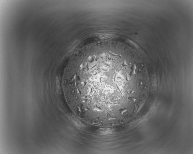 X0000060780667200511141418